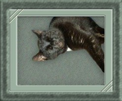 Ich heisse Jeannie :-)